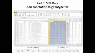 What To Do When your SNP Data Set Arrives A Case Study [upl. by Adnilasor]