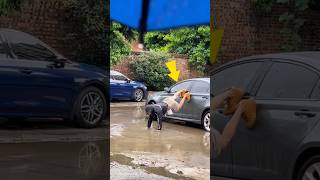 Man Cleverly Saves His Puppy shortsvideo [upl. by Uri]