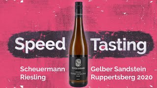 Speedtasting Riesling vom Gelben Sandstein [upl. by Hoisch]