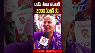 రెండు నెలలు అయింది 2000 పింఛన్ లేక  CM REVANTH REDDY  SIGNAL TV [upl. by Modnar337]