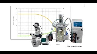 Labster Virtual Lab Fermentation Simulation [upl. by Anerahs]