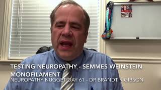 Testing Neuropathy  Semmes Weinstein Monofilament [upl. by Annadiana899]