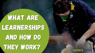 What Are Learnerships And How Do They Work  Careers Portal [upl. by Lemrac905]