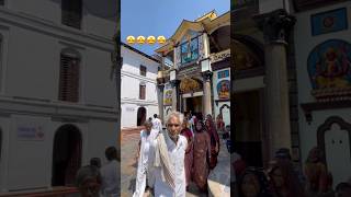 Pashupatinath Temple 🛕  kathmandu youtubeshort shotrs viralvideo [upl. by Aliuqahs]