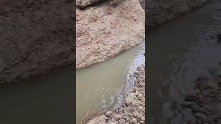 Wali Tangi Dam Urak Qta Outlet Spillway Spills Monsoon Rainfall Flooding Irrigation D Balochistan [upl. by Fisoi]