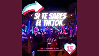 Te Sabes El Tiktok Baila 2 Julio 2024 Remix [upl. by Madora921]