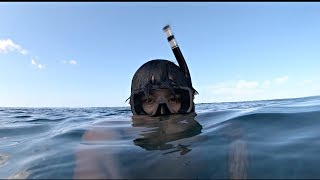 Freediving At Electric Plant In Hawaii You Wont Believe Whats Out There [upl. by Rajewski]