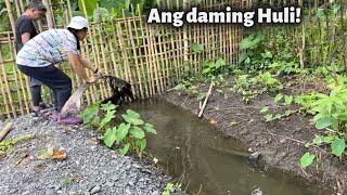 Live🔴 May ArAro sa Fish Trap at May mga Bunga na ang Gulay 🍆🫑  Update sa ating Bukid [upl. by Conah]