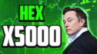 HEX TO X5000 SOON 🐕💸  HEX PRICE NEWS 📈✨ 9000 RISE OR IS THIS THE END 🔮💸 [upl. by Halyak659]