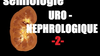 sémiologie uro nephrologique 2 [upl. by Perron]