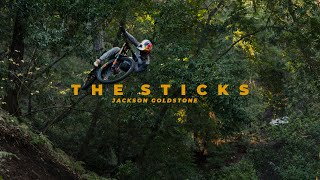 Jackson Goldstones first ride on a SANTA CRUZ V10 downhill bike [upl. by Dloreh]