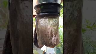 CO2 mosquito trap [upl. by Ayam868]