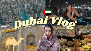 DUBAI VLOG  BIRTHDAY 🇦🇪❤️ Katerina Visseri [upl. by Enelrahc45]