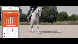 Motion by Equisense trailer [upl. by Emanuela]