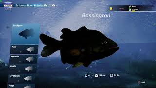 Hunting Hawgs  Lake Guntersville BM2022 [upl. by Koller]