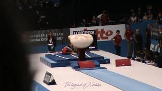 Chantysha NETTEB NED vault  2013 Antwerp worlds EF injury [upl. by Sinnylg]