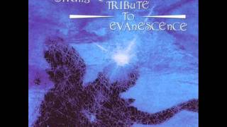 Bring Me To Life  Vitamin String Quartet Tribute to Evanescence [upl. by Schuman]