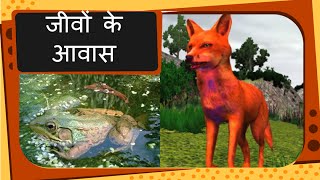 Science  Types of Animal Habitat  Hindi [upl. by Luzader]