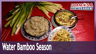 Water bamboo season how to use the local veg in your kitchen [upl. by Garges103]