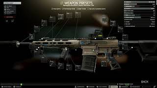 RSASS quotInfiltratorquot Meta Build  1212 Tarkov [upl. by Obed]