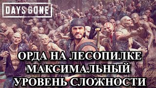 Орда На Лесопилке в Days Gone на максимальном уровне сложности [upl. by Franni]