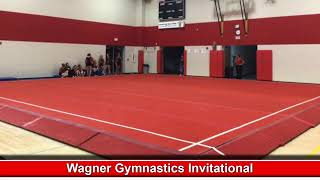 Wagner Gymnastics Invitational [upl. by Xerxes]