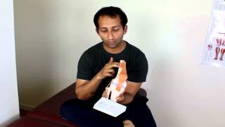 Patellar Tendonitis Massage Treatment  Manu Kalia  Video 141  TridoshaWellness [upl. by Bullen]