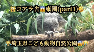 🙀コアラ舎・東園（part1😱埼玉県こども動物自然公園🤣16m12s🙀ヒーリングHealing [upl. by Fraze]