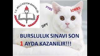 1 AY ÇALIŞARAK BURSLULUK NASIL KAZANILIR [upl. by Stine]