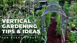 VERTICAL GARDENING TIPS amp IDEAS Why and how to add VERTICAL SPACE to your garden for EVERY BUDGET [upl. by Lance]