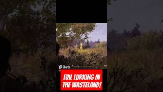 Fallout76 Wasteland Hidden Raider Pops out on me [upl. by Cornelia331]