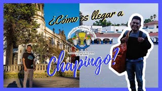 ✅Mi primer día en Chapingo  ¿Cómo te reciben 🎓 [upl. by Ahtanaram]