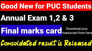 2nd PUC Annual exam combined result 2024final marks card 2024 final exam 12amp3 results link ksea [upl. by Assirehc660]