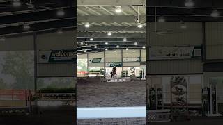 Horse Show Today ovation [upl. by Weyermann870]