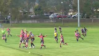 2024 Minto Cobras U10 Black vs Ingleburn Tigers First Half [upl. by Myrilla]