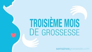 Troisième mois de grossesse  Mois 3 de grossesse  La grossesse mois par mois [upl. by Ykcub399]