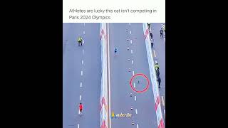 Athletes are lucky this isant competing in paris olympics 2024 plz subcribeshare [upl. by Aicyla]