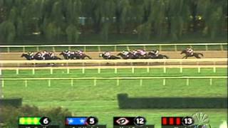 2002 Breeders Cup Juvenile [upl. by Rohpotsirhc]