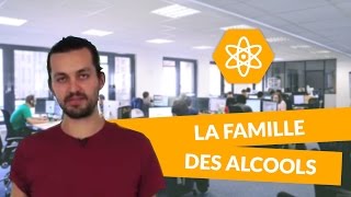 La famille des alcools  Physiquechimie  TS  digiSchool [upl. by Oirretno]