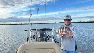 Inshore Fishing in Homosassa FL  New Year’s Eve Weekend [upl. by Renwick647]