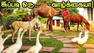 தனக்கென ஒரு காடு  Naveen Garden  Eco Tourism [upl. by Gereron]