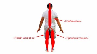 6Я ЗАДНЯЯ ПОВЕРХНОСТНАЯ МЫШЕЧНАЯ ЛИНИЯ  Объяснение из «КУЛИНАРНОГО» ШОУ – КАК ПОХУДЕТЬ День 3 [upl. by Ymarej]