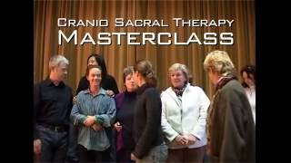 Cranio Sacral Therapy Masterclass Session 1 [upl. by Annawaj]