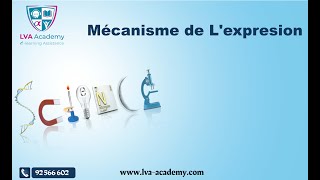 ✅ Science  Linformation génétique  Mécanisme de lexpression 3ème [upl. by Eenot]