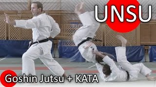 DEMO UNSU amp GOSHIN JUTSU  Cyril GUENET [upl. by Hassett]