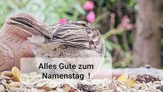 Alles Gute zum Namenstag [upl. by Olvan]