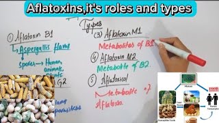 AflatoxinsMycotoxinsFull explaination in Hindi biochemistry [upl. by Ferdinande]