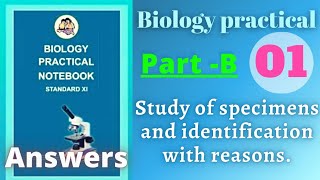 Study of specimens and identification with reason biology practical class 11 experiment 1 b answers [upl. by Airekal]