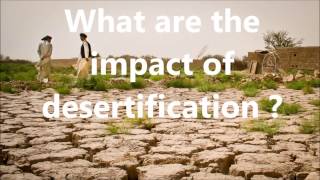 Desertification causes impact and solutions [upl. by Normak]