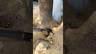 Thermal Fogging Machine All Insects Came Out [upl. by Coletta]